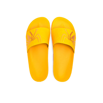 Yellow Slipper-AH93M