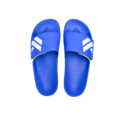 Blue Slipper-AH68M