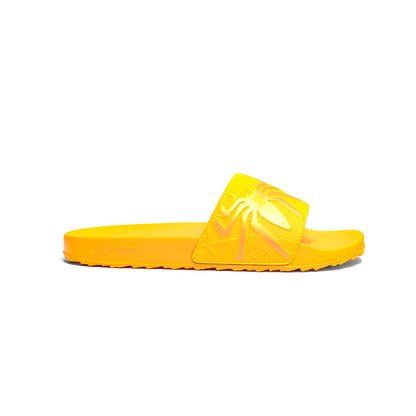 Yellow Slipper-AH93M