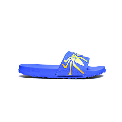 Blue Slipper-AH93M